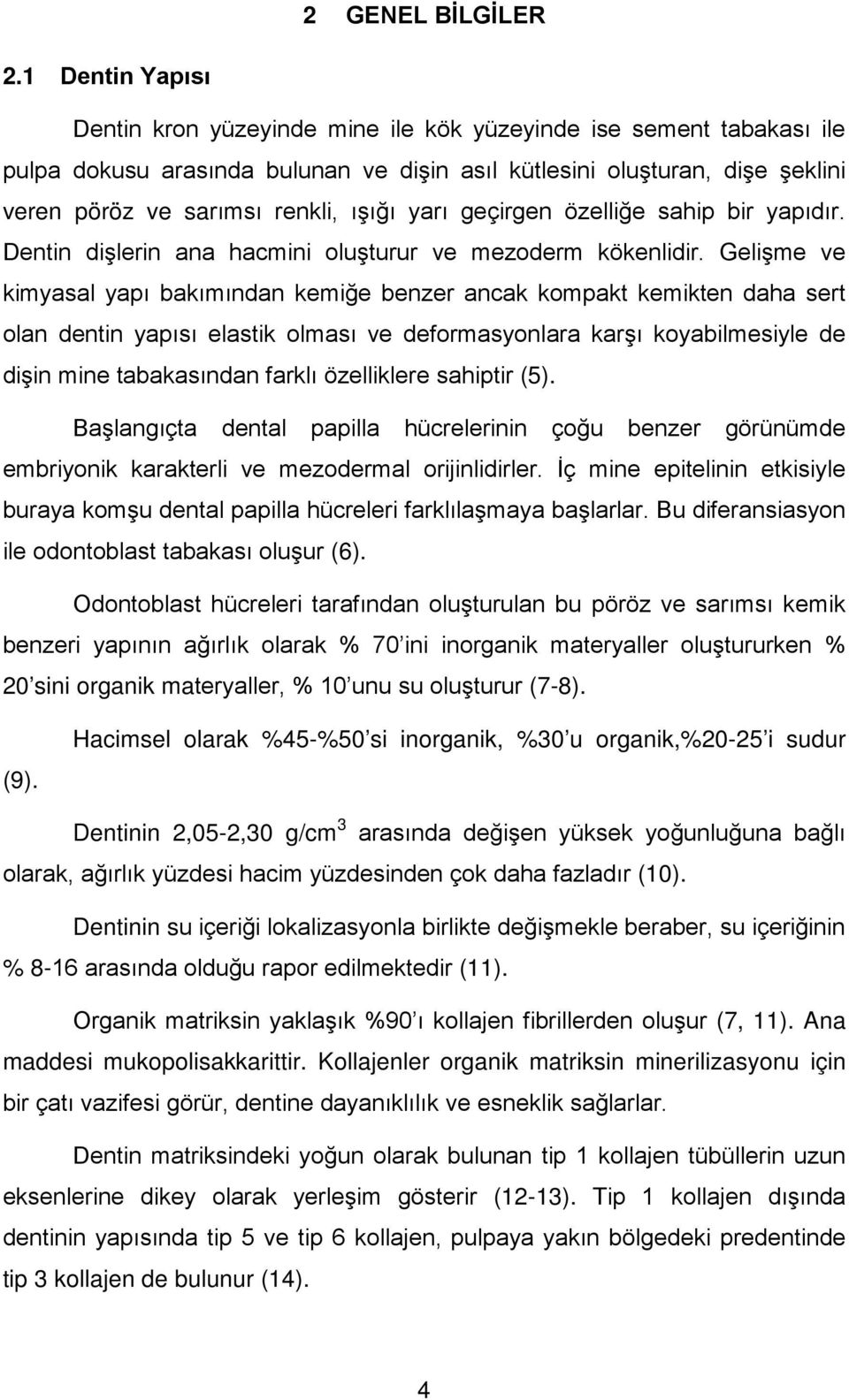 yarı geçirgen özelliğe sahip bir yapıdır. Dentin dişlerin ana hacmini oluşturur ve mezoderm kökenlidir.