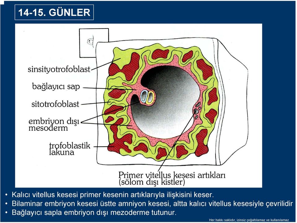 keser.