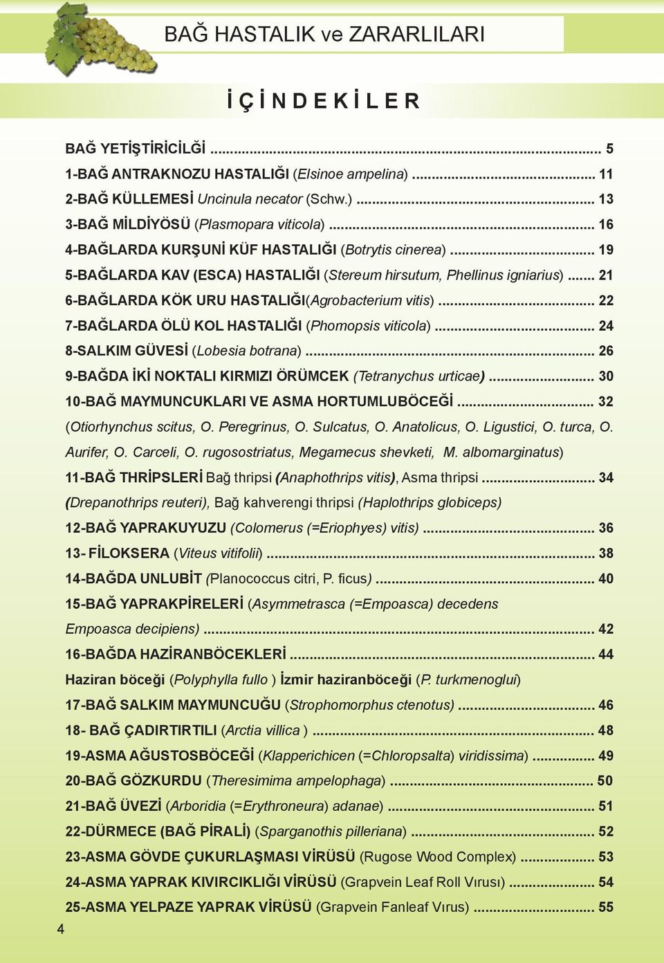 .. 22 7-BAĞLARDA ÖLÜ KOL HASTALIĞI (Phomopsis viticola)... 24 8-SALKIM GÜVESİ (Lobesia botrana)... 26 9-BAĞDA İKİ NOKTALI KIRMIZI ÖRÜMCEK (Tetranychus urticae).