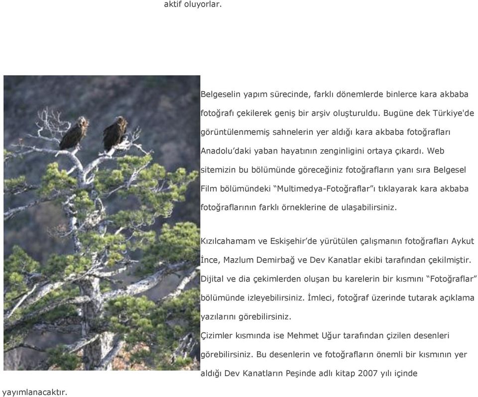 Web sitemizin bu bölümünde göreceğiniz fotoğrafların yanı sıra Belgesel Film bölümündeki Multimedya-Fotoğraflar ı tıklayarak kara akbaba fotoğraflarının farklı örneklerine de ulaşabilirsiniz.