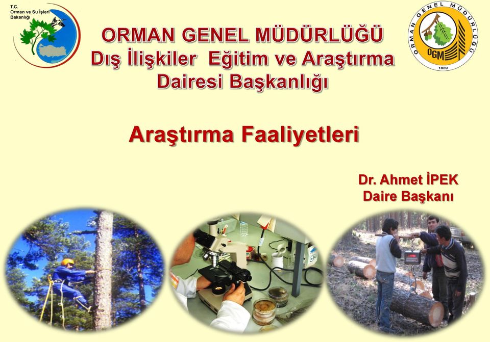 Dr. Ahmet