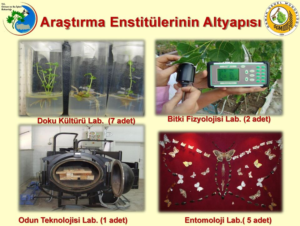 (7 adet) Bitki Fizyolojisi Lab.