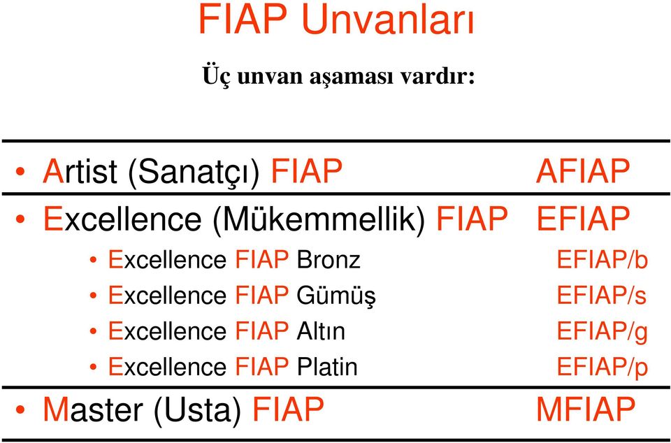 Bronz EFIAP/b Excellence FIAP Gümüş EFIAP/s Excellence FIAP
