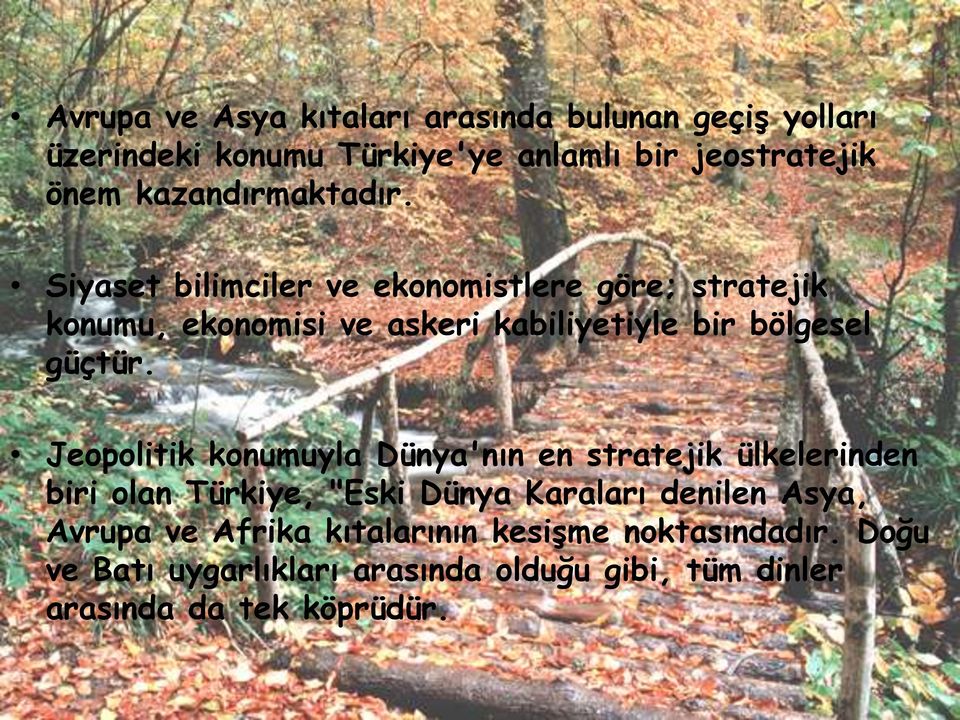 Siyaset bilimciler ve ekonomistlere göre; stratejik konumu, ekonomisi ve askeri kabiliyetiyle bir bölgesel güçtür.