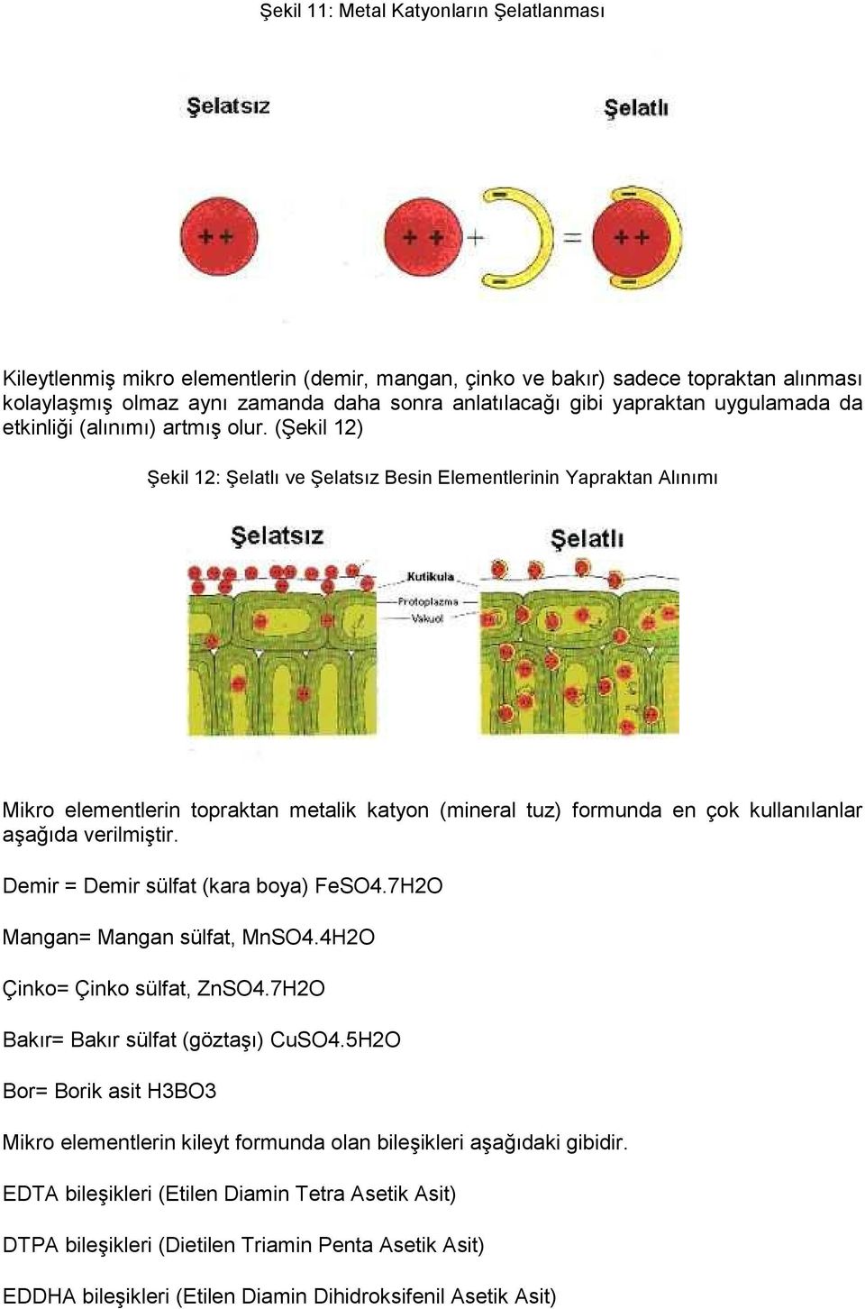 (Şekil 12) Şekil 12: Şelatlı ve Şelatsız Besin Elementlerinin Yapraktan Alınımı Mikro elementlerin topraktan metalik katyon (mineral tuz) formunda en çok kullanılanlar aşağıda verilmiştir.