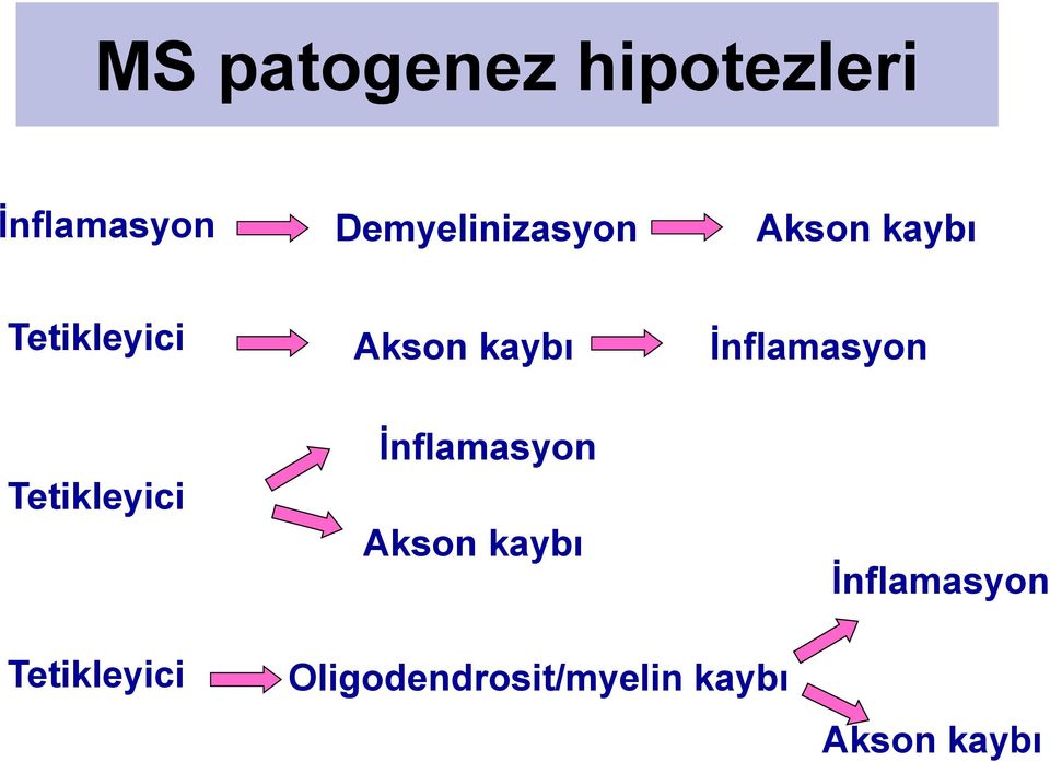 Tetikleyici İnflamasyon Akson kaybı Oligodendrosit/myelin kaybı
