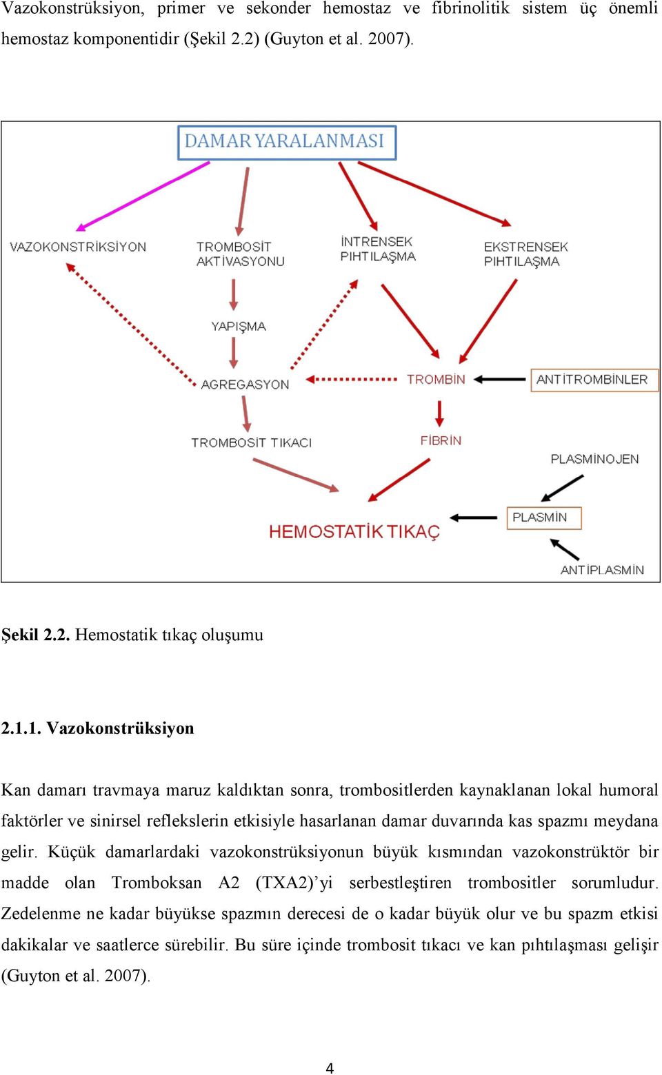 spazmı meydana gelir. Küçük damarlardaki vazokonstrüksiyonun büyük kısmından vazokonstrüktör bir madde olan Tromboksan A2 (TXA2) yi serbestleştiren trombositler sorumludur.