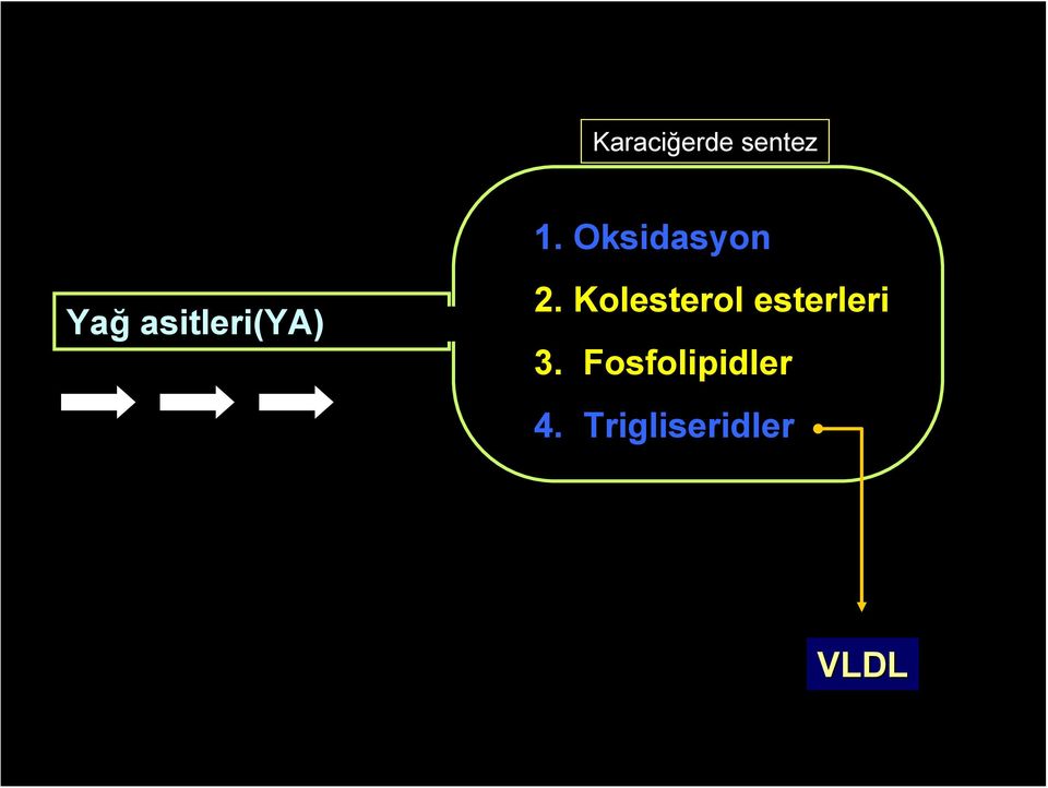 2. Kolesterol esterleri 3.