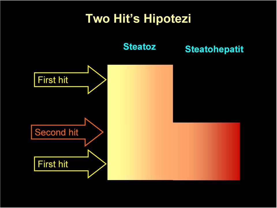 Steatohepatit