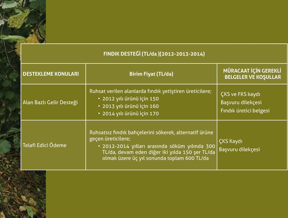 Başvuru dilekçesi Fındık üretici belgesi Telafi Edici Ödeme Ruhsatsız fındık bahçelerini sökerek, alternatif ürüne geçen üreticilere; 2012-2014