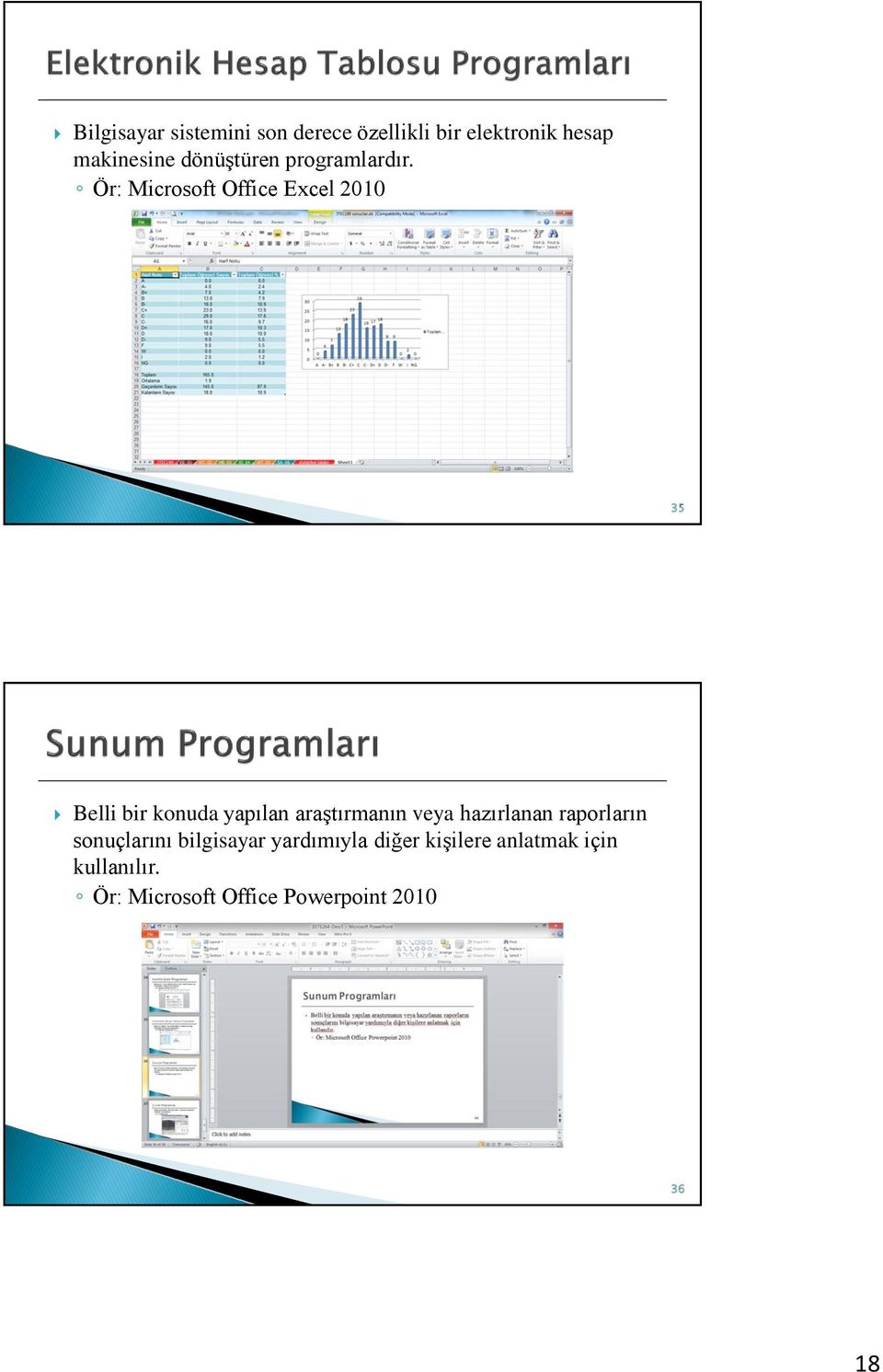 Ör: Microsoft Office Excel 2010 35 Belli bir konuda yapılan araştırmanın veya