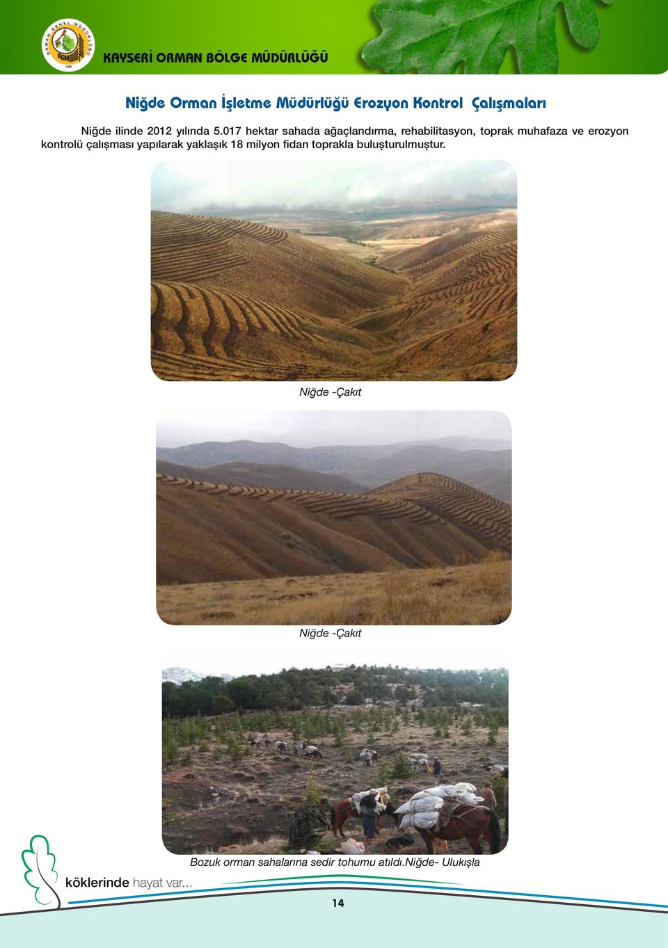 017 hektar sahada ağaçlandırma, rehabilitasyon, toprak muhafaza ve erozyon kontrolü