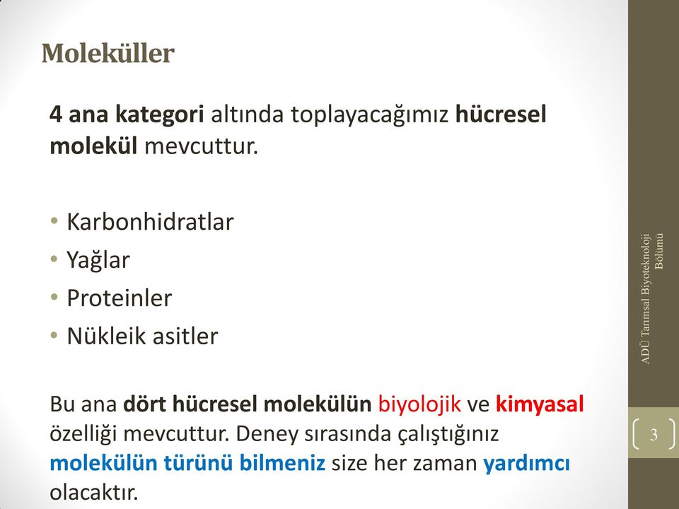 Karbonhidratlar Yağlar Proteinler Nükleik asitler Bu ana dört hücresel