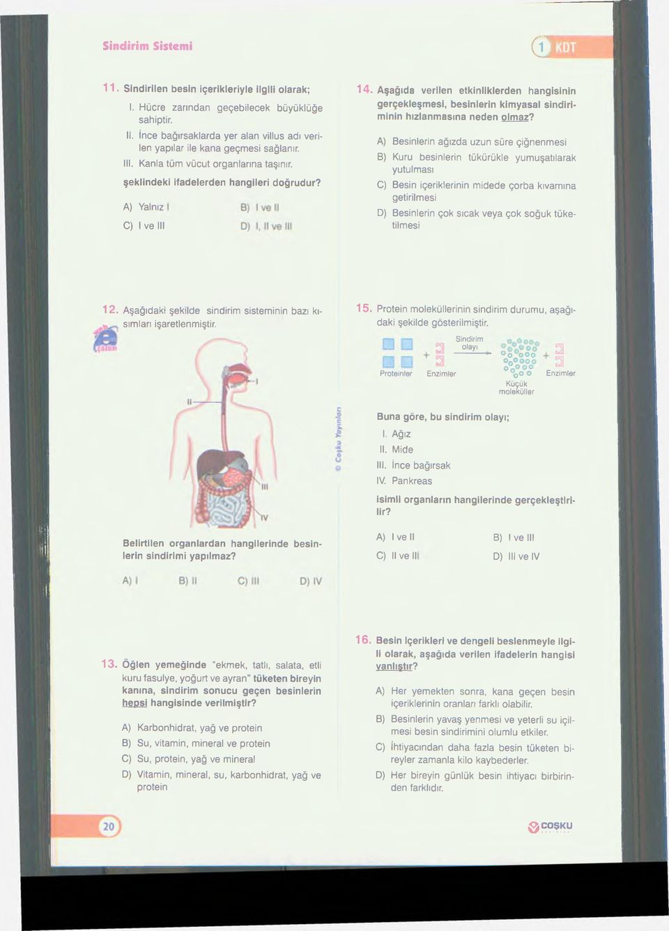 Aşağıda verilen etkinliklerden hangisinin gerçekleşmesi, besinlerin kimyasal sindiriminin hızlanmasına neden olmaz?