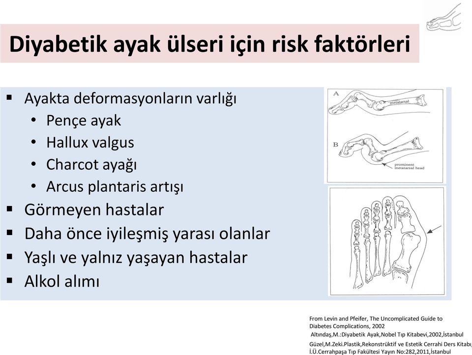 Levin and Pfeifer, The Uncomplicated Guide to Diabetes Complications, 2002 Altındaş,M.