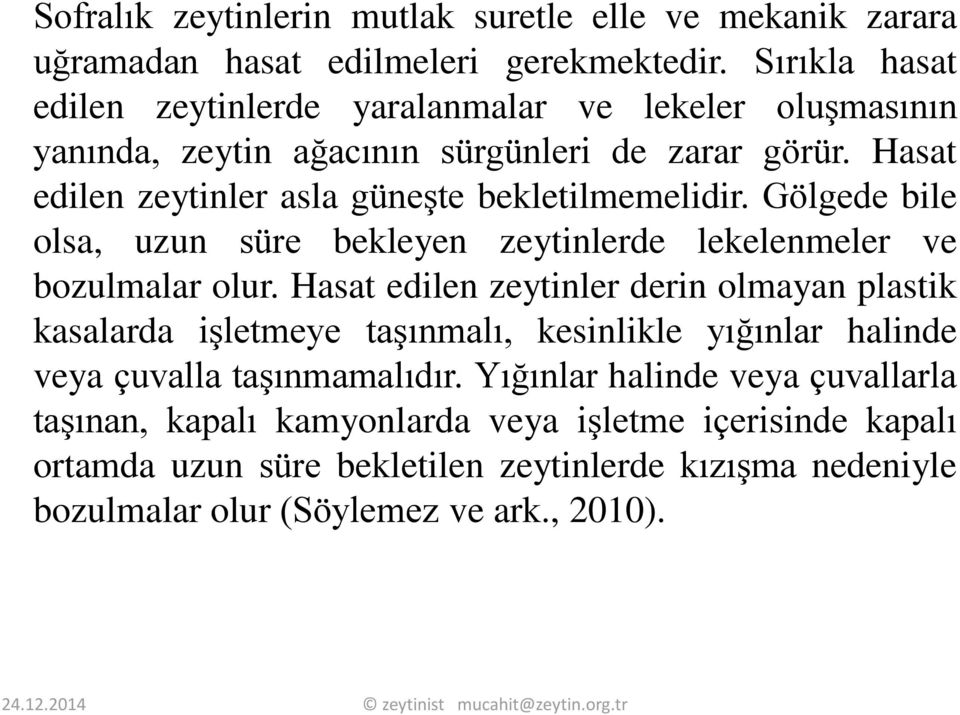 Hasat edilen zeytinler asla güneşte bekletilmemelidir. Gölgede bile olsa, uzun süre bekleyen zeytinlerde lekelenmeler ve bozulmalar olur.