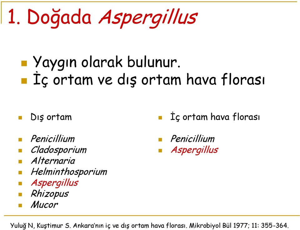 Penicillium Cladosporium Alternaria Helminthosporium Aspergillus Rhizopus