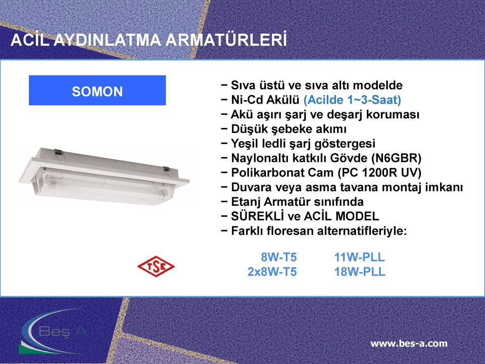 katkılı Gövde (N6GBR) Polikarbonat Cam (PC 1200R UV) Duvara veya asma tavana montaj imkanı Etanj