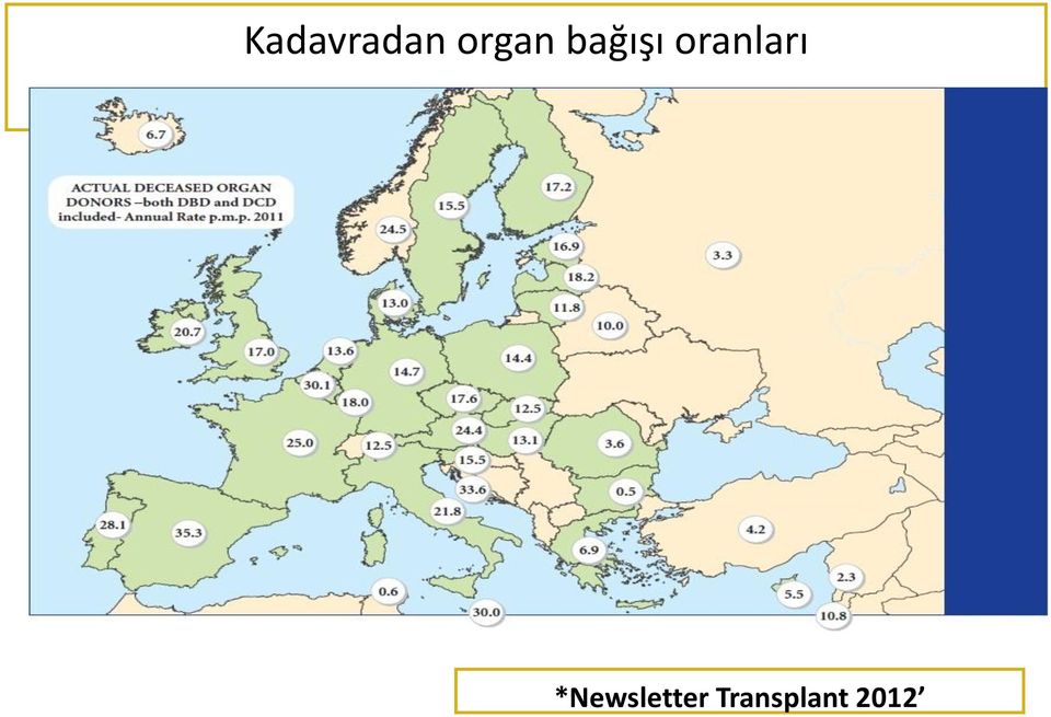 oranları