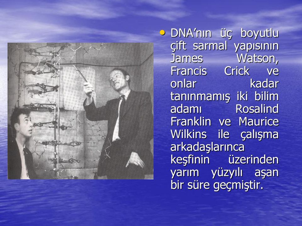 Rosalind Franklin ve Maurice Wilkins ile çalışma