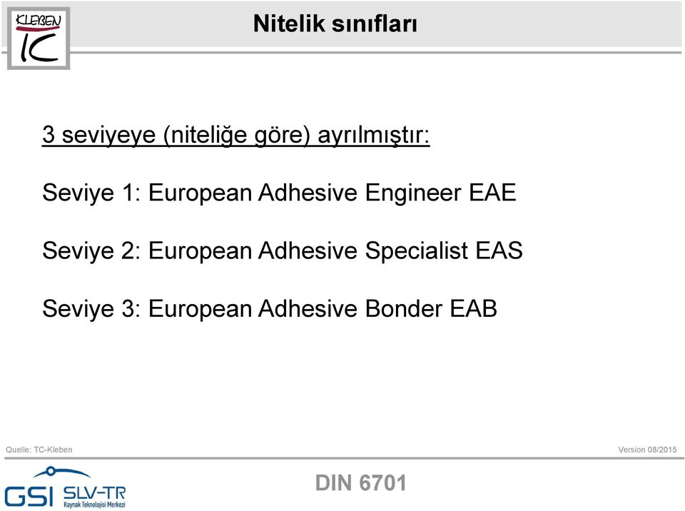 Engineer EAE Seviye 2: European Adhesive