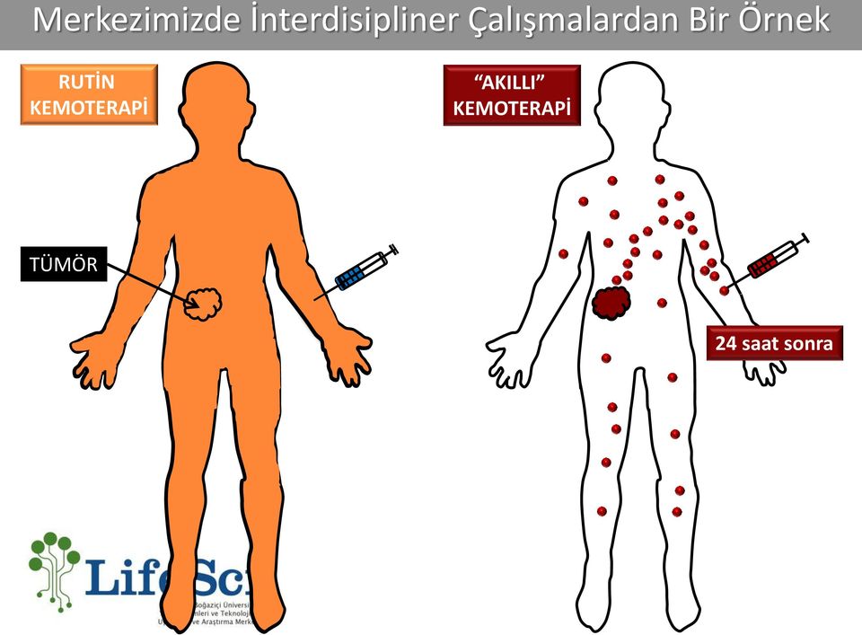 Çalışmalardan Bir Örnek