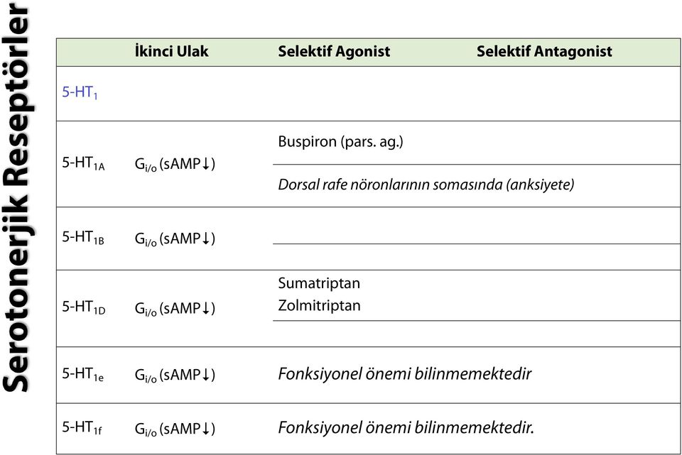 ) Dorsal rafe nöronlarının somasında (anksiyete) 5-HT 1B G i/o (samp ) 5-HT 1D G