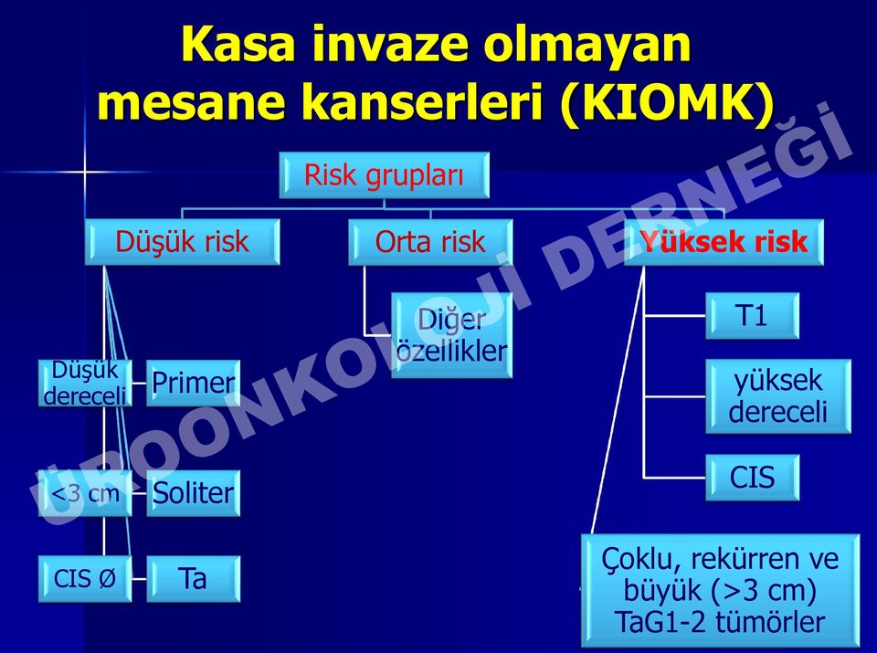 Primer Diğer özellikler T1 yüksek dereceli <3 cm Soliter