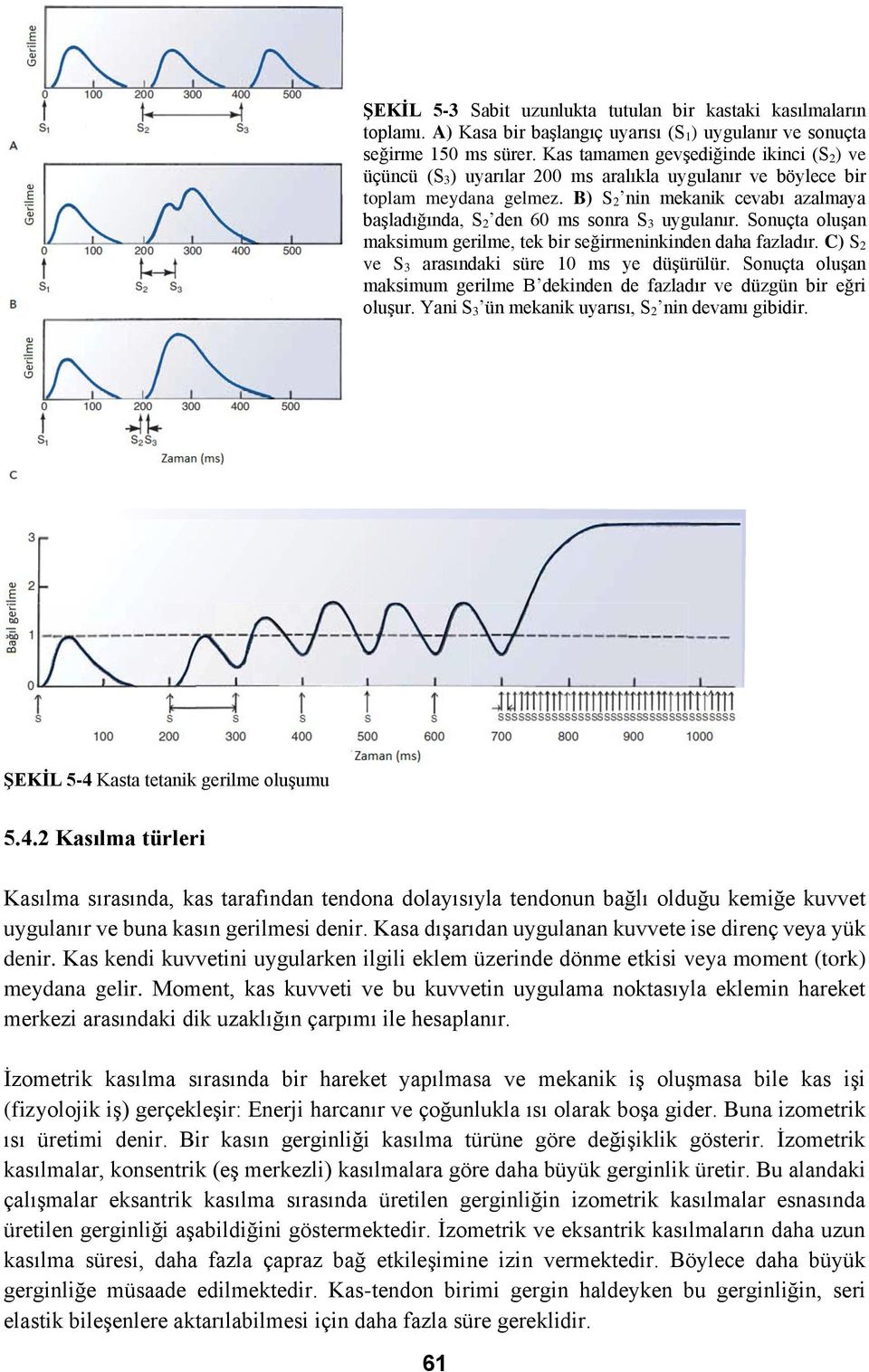 B) S 2 nin mekanik cevabı azalmaya başladığında, S 2 den 60 ms sonra S 3 uygulanır. Sonuçta oluşan maksimum gerilme, tek bir seğirmeninkinden daha fazladır.