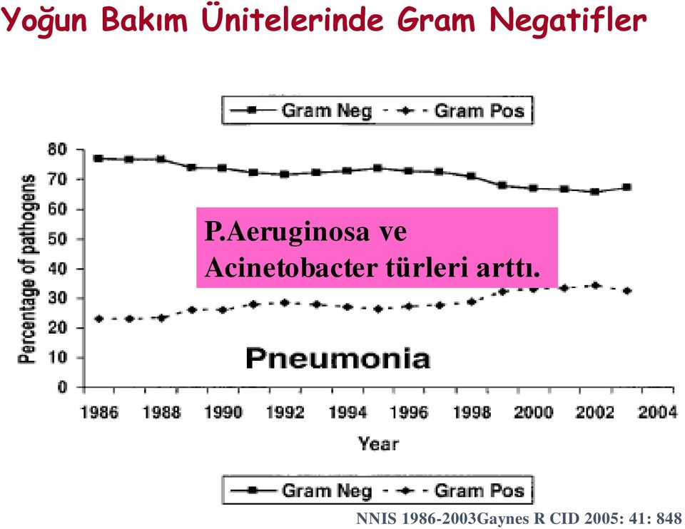 Aeruginosa ve Acinetobacter