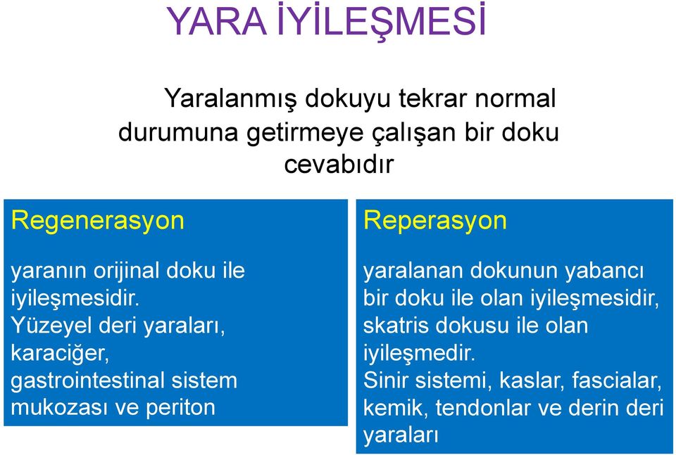 Yüzeyel deri yaraları, karaciğer, gastrointestinal sistem mukozası ve periton Reperasyon yaralanan