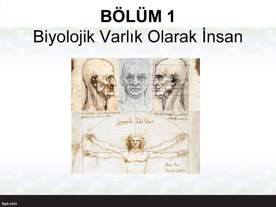 Varlık