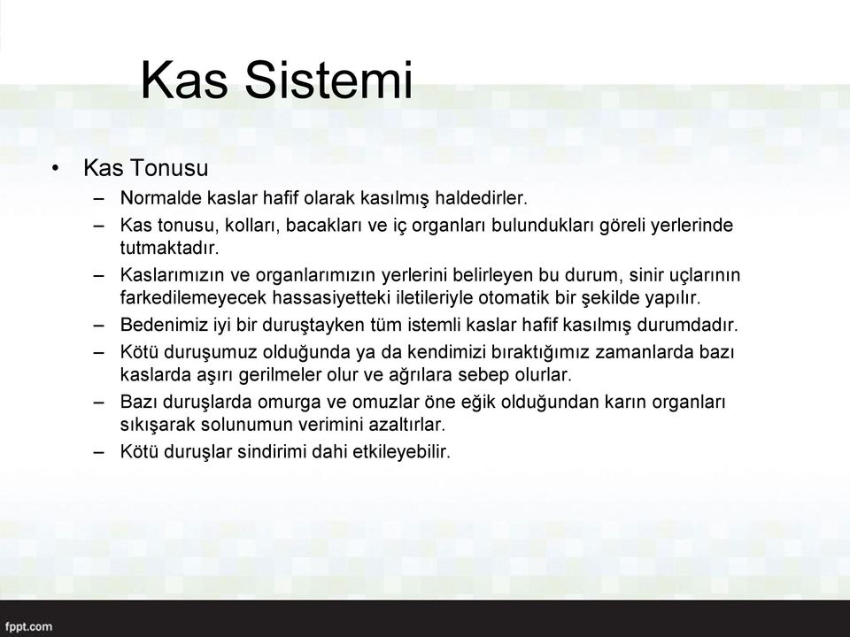 Bedenimiz iyi bir duruştayken tüm istemli kaslar hafif kasılmış durumdadır.