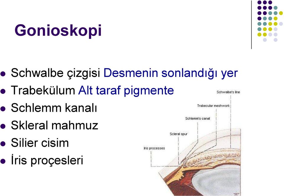 Alt taraf pigmente Schlemm kanalı