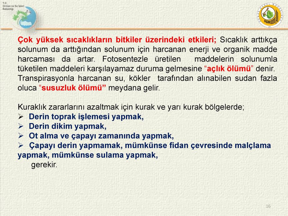 Transpirasyonla harcanan su, kökler tarafından alınabilen sudan fazla oluca susuzluk ölümü meydana gelir.