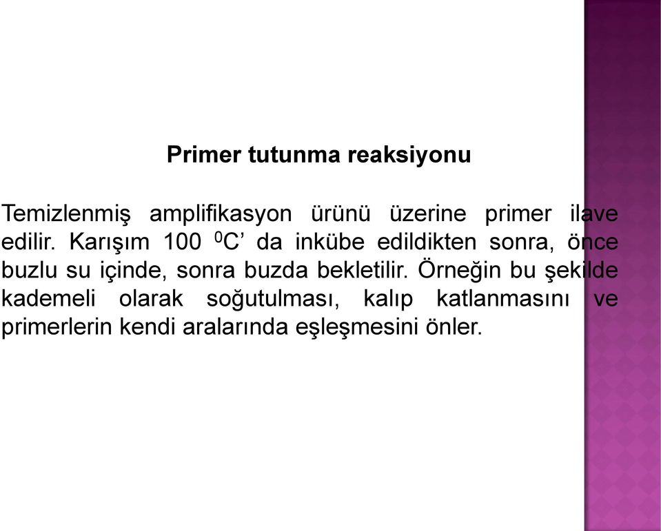 Karışım 100 0 C da inkübe edildikten sonra, önce buzlu su içinde, sonra