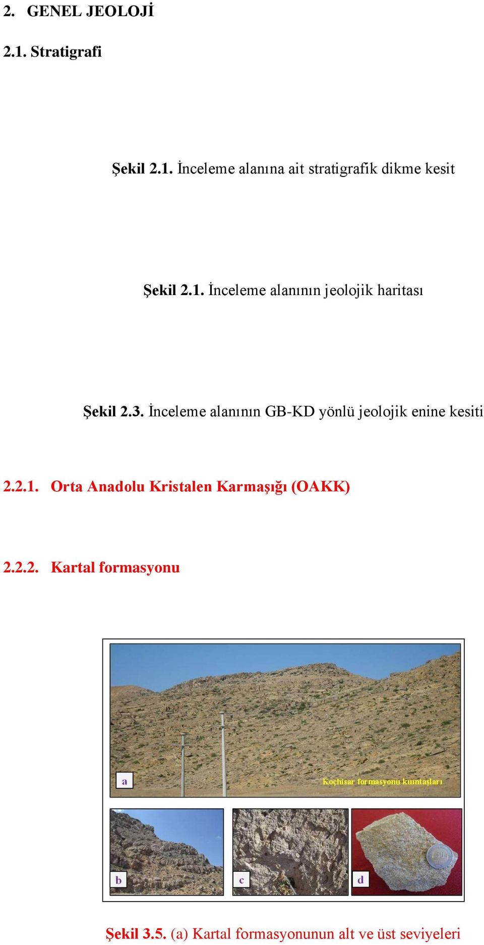 İnceleme alanının GB-KD yönlü jeolojik enine kesiti 2.2.1.