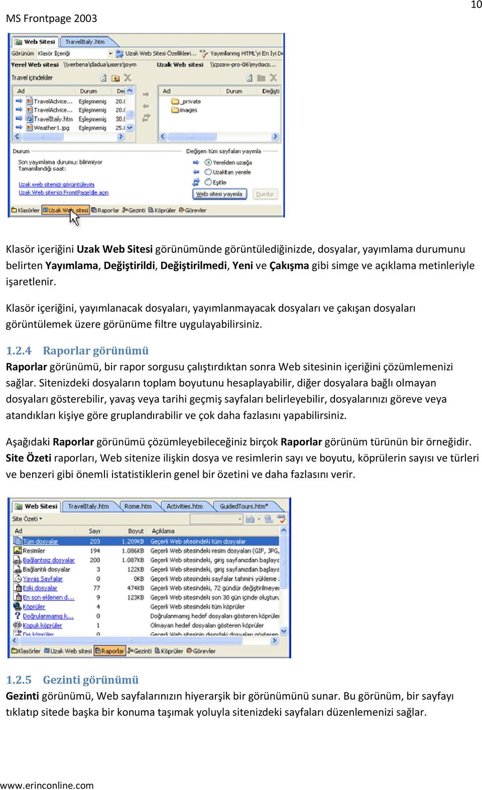 4 Raporlar görünümü Raporlar görünümü, bir rapor sorgusu çalıştırdıktan sonra Web sitesinin içeriğini çözümlemenizi sağlar.