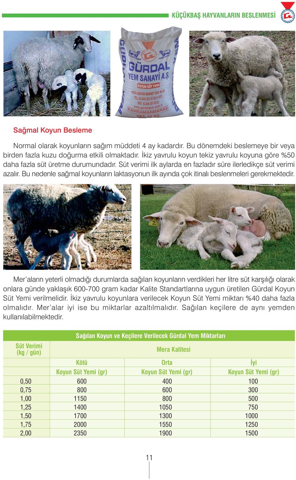 Bu nedenle saðmal koyunlarýn laktasyonun ilk ayýnda çok itinalý beslenmeleri gerekmektedir.