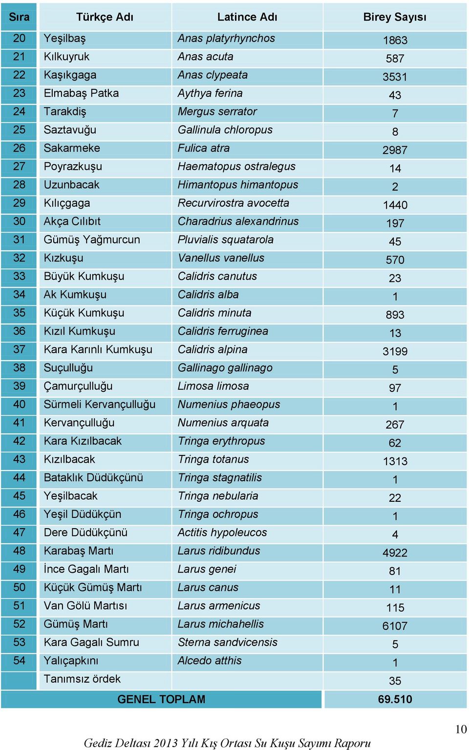 Charadrius alexandrinus 197 31 Gümüş Yağmurcun Pluvialis squatarola 45 32 Kızkuşu Vanellus vanellus 570 33 Büyük Kumkuşu Calidris canutus 23 34 Ak Kumkuşu Calidris alba 1 35 Küçük Kumkuşu Calidris