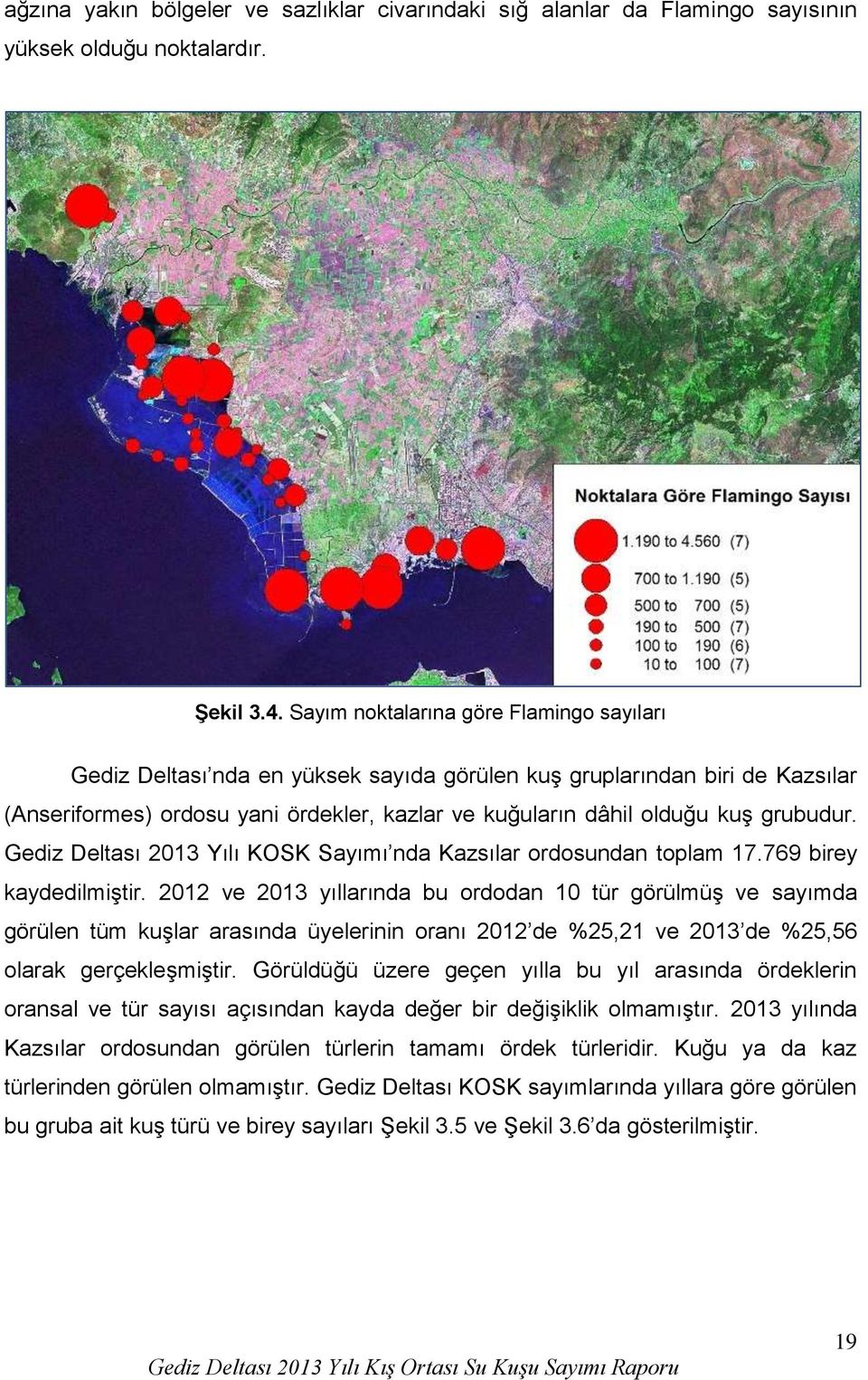 grubudur. Gediz Deltası 2013 Yılı KOSK Sayımı nda Kazsılar ordosundan toplam 17.769 birey kaydedilmiştir.