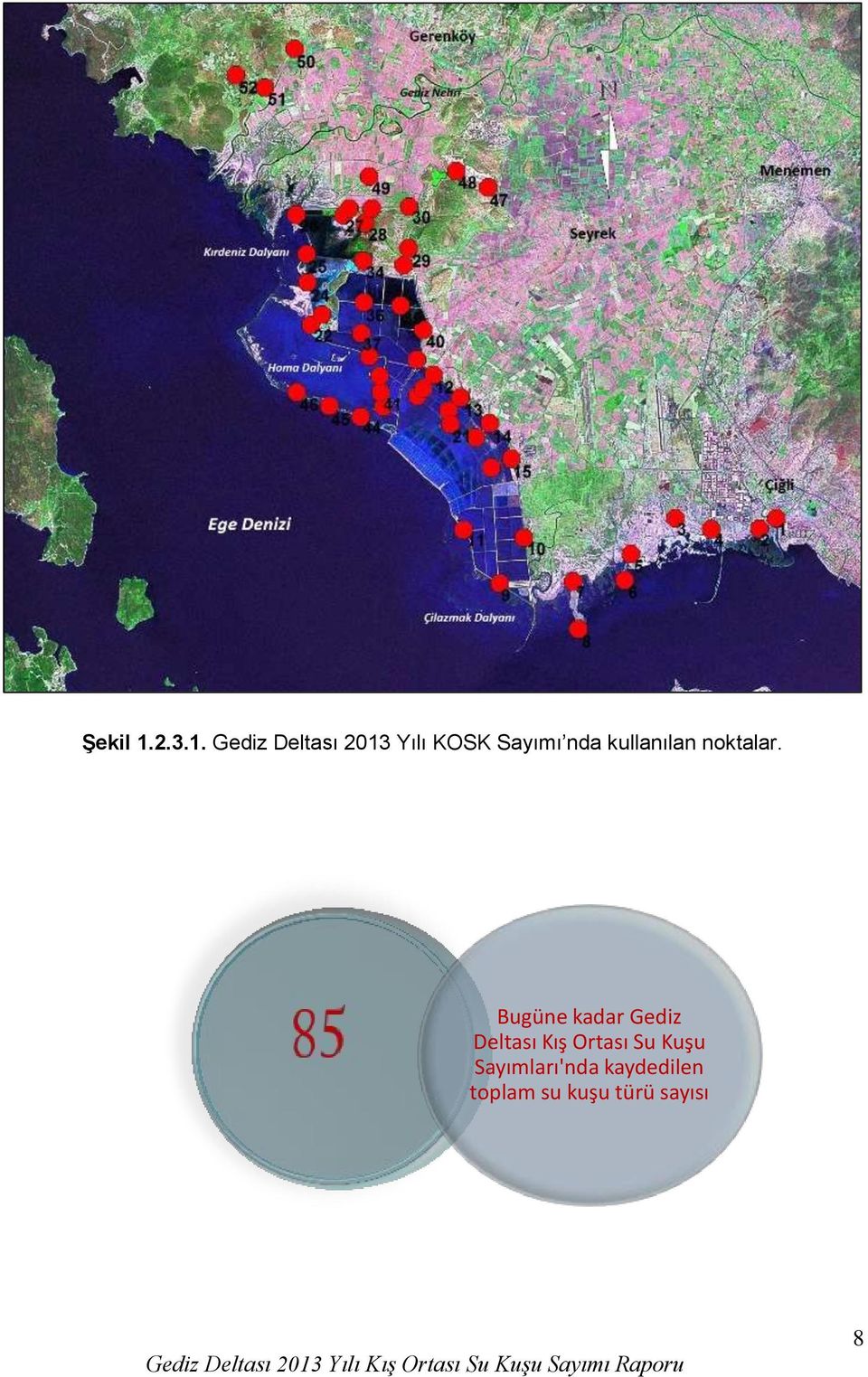 Gediz Deltası 2013 Yılı KOSK Sayımı nda