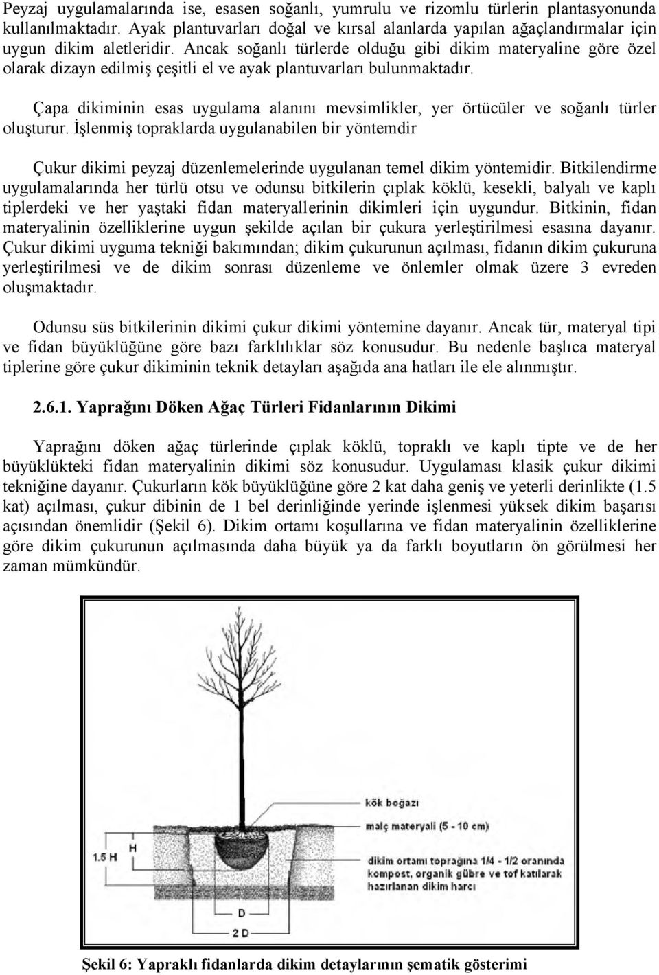 Ancak soğanlı türlerde olduğu gibi dikim materyaline göre özel olarak dizayn edilmiş çeşitli el ve ayak plantuvarları bulunmaktadır.