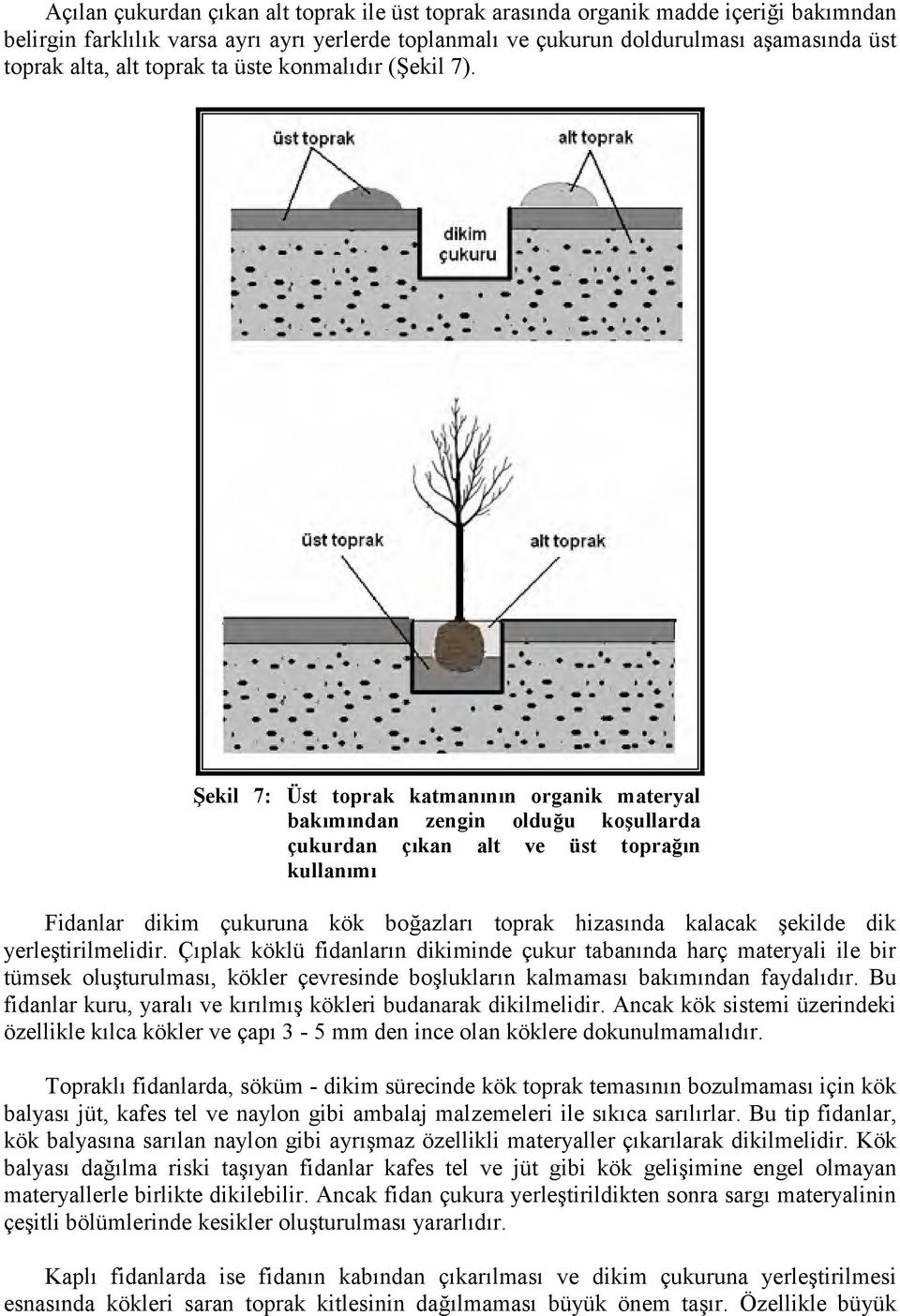 Şekil 7: Üst toprak katmanının organik materyal bakımından zengin olduğu koşullarda çukurdan çıkan alt ve üst toprağın kullanımı Fidanlar dikim çukuruna kök boğazları toprak hizasında kalacak şekilde