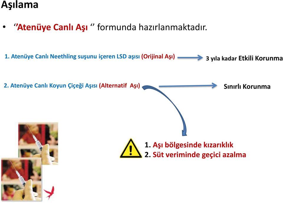 yıla kadar Etkili Korunma 2.