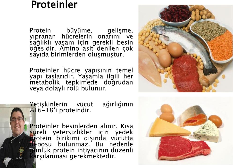 Yaşamla ilgili her metabolik tepkimede doğrudan veya dolaylı rolü bulunur. Yetişkinlerin vücut ağırlığının %16-18 i proteindir.