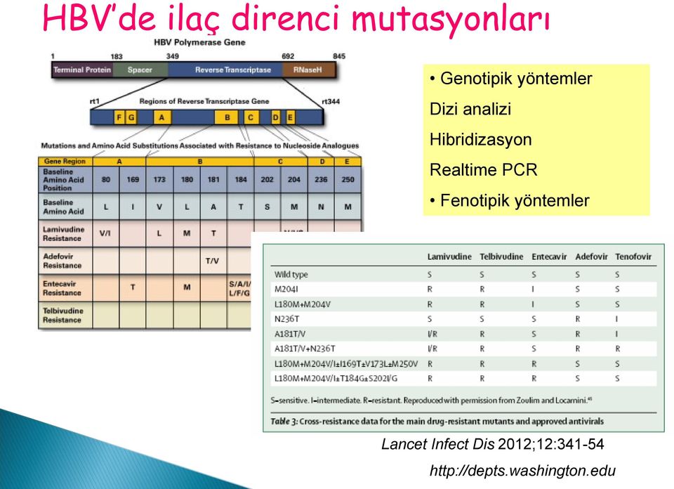Realtime PCR Fenotipik yöntemler Lancet
