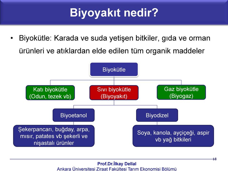 tüm organik maddeler Biyokütle Katı biyokütle (Odun, tezek vb) Sıvı biyokütle (Biyoyakıt)