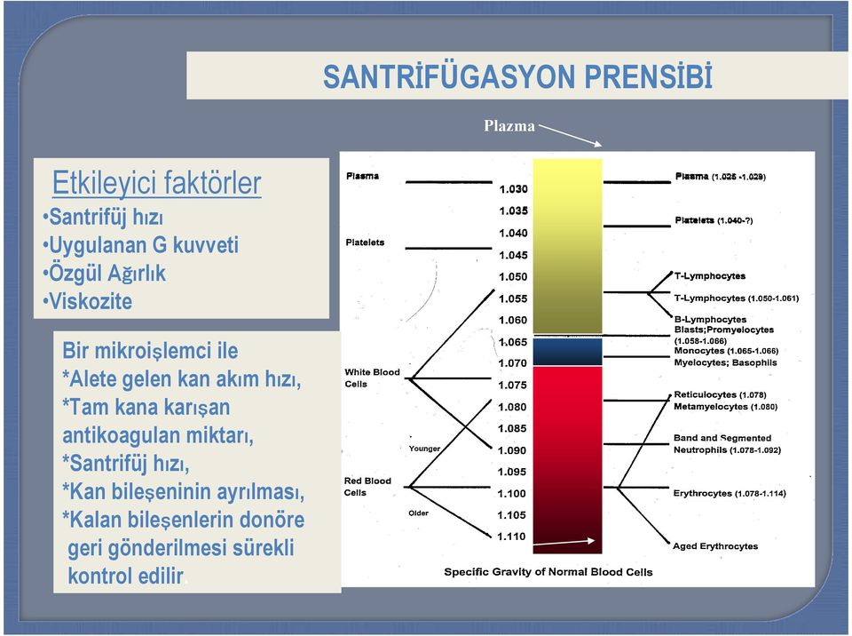 hızı, *Tam kana karış ışan antikoagulan miktarı, *Santrifüj hızı, *Kan bileşeninin